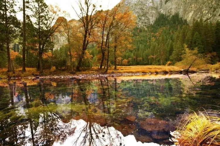 Do You Need Hiking Boots for Yosemite? Your Best Guide From Your Trails