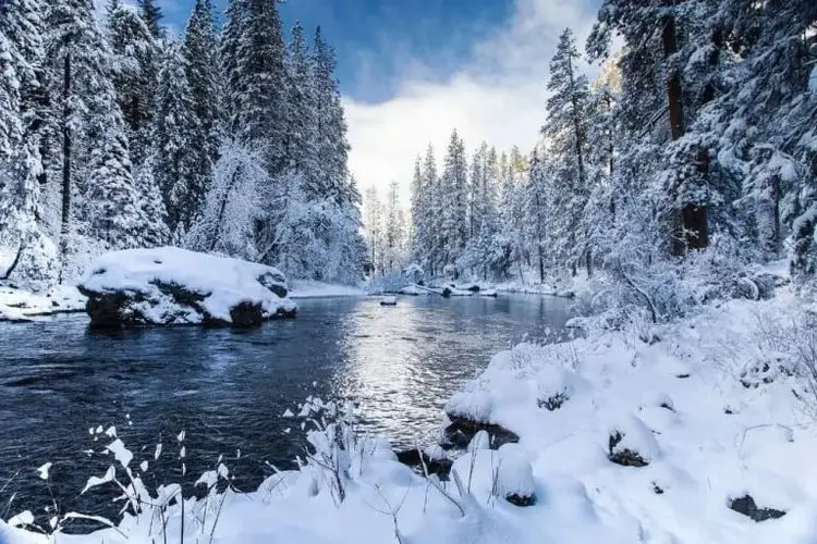 Do You Need Hiking Boots for Yosemite? Your Best Guide From Your Trails