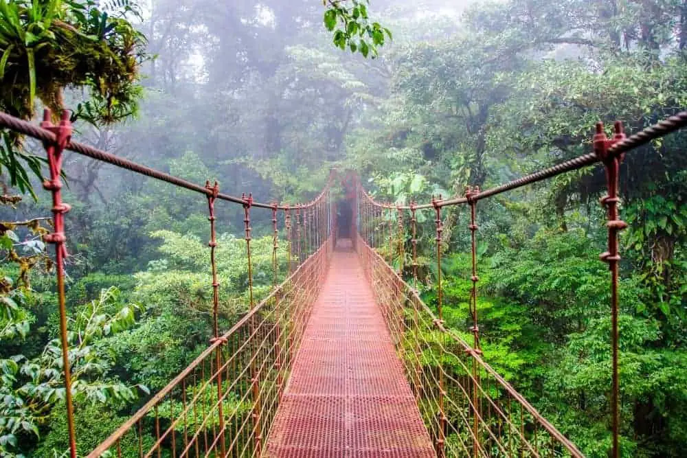 Wooden Bridge at Costarica