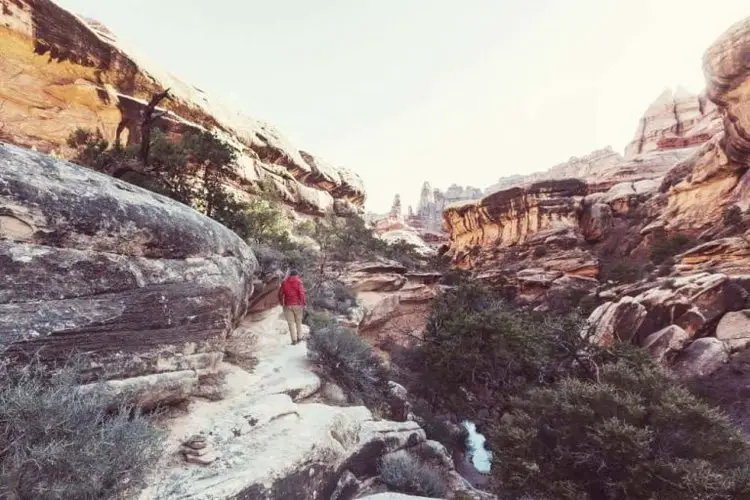 Do I Need Hiking Boots for Zion? From Your Trails