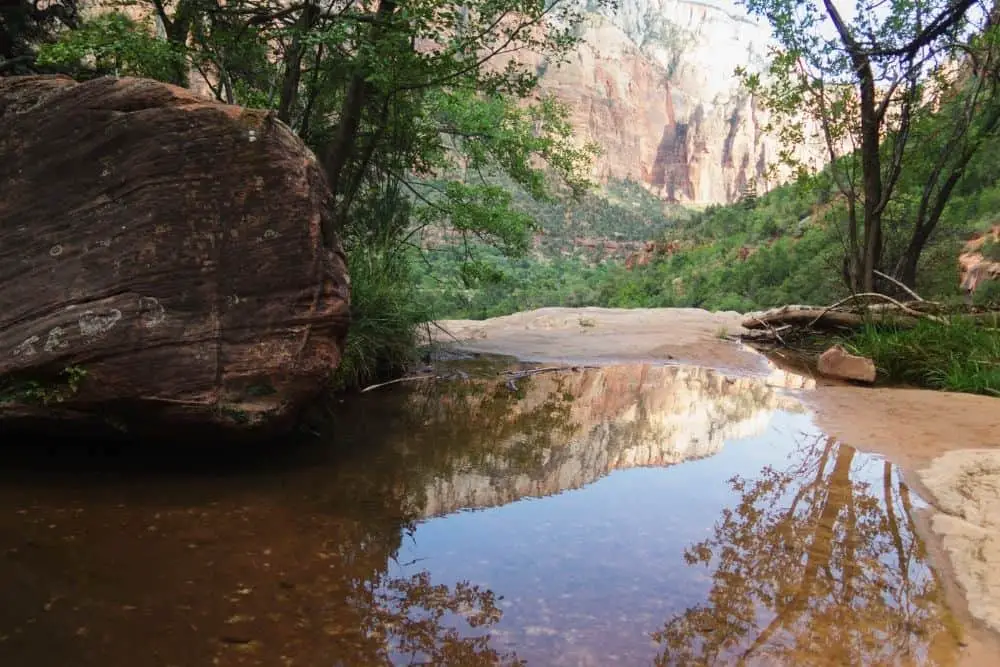 Zion Lanscape