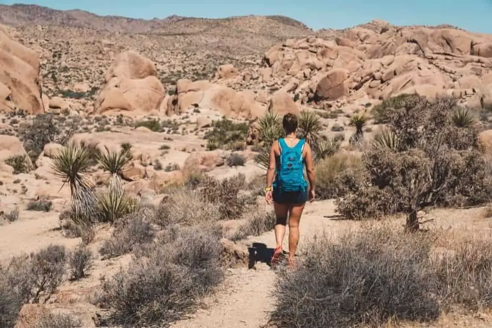 a women with blue backpack hiking in Joshua Tree national park