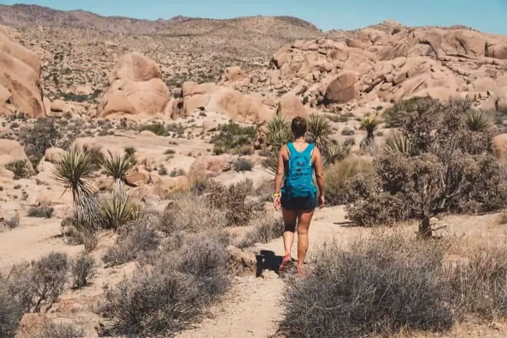 Do I Need Hiking Boots For Joshua Tree? From Your Trails