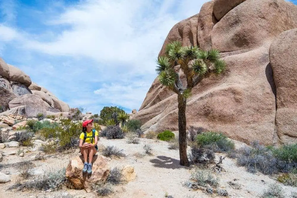 girl with pink hat and yellow shirt hiking in Joshua Tree