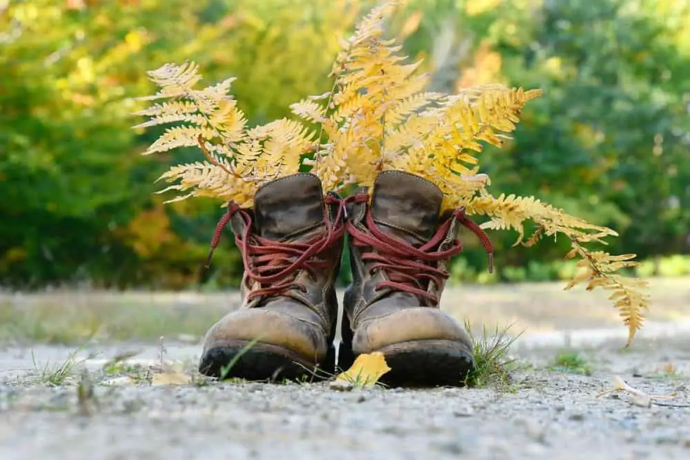 hiking boots with flowers inside