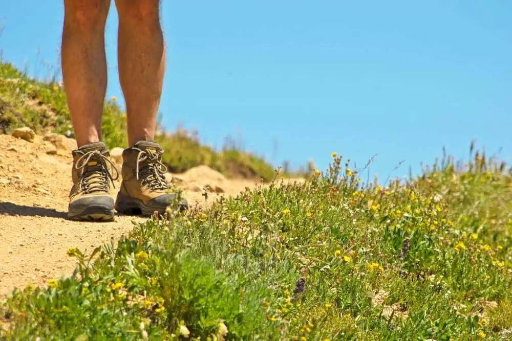men wear hiking boots standing on the trail next to flower