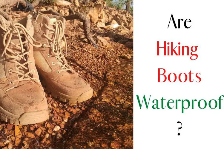 Hiking boots near the lake and the title