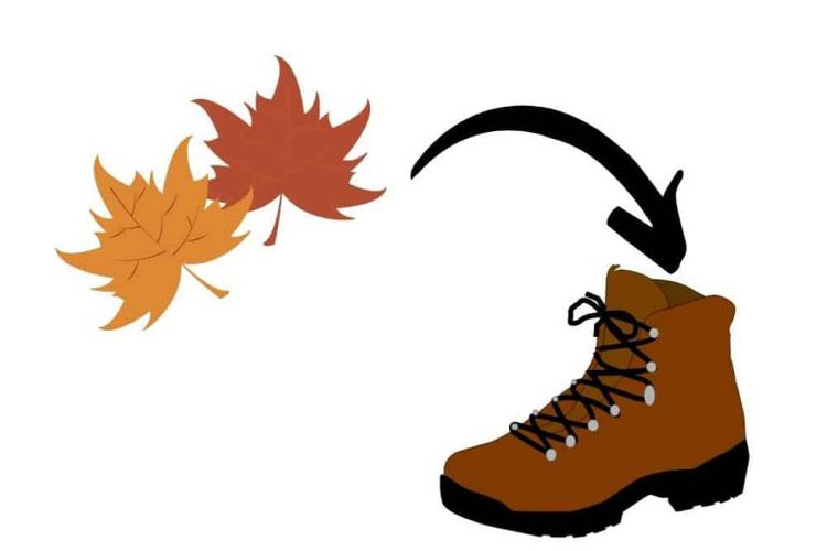 How To Dry Hiking Boots On The Trail? 6 Practical Methods From Your