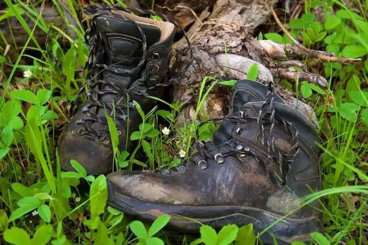 ugly hiking boots in a forest