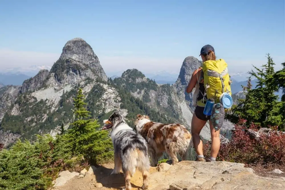 girl and her two dogs hiking on rocky terrain