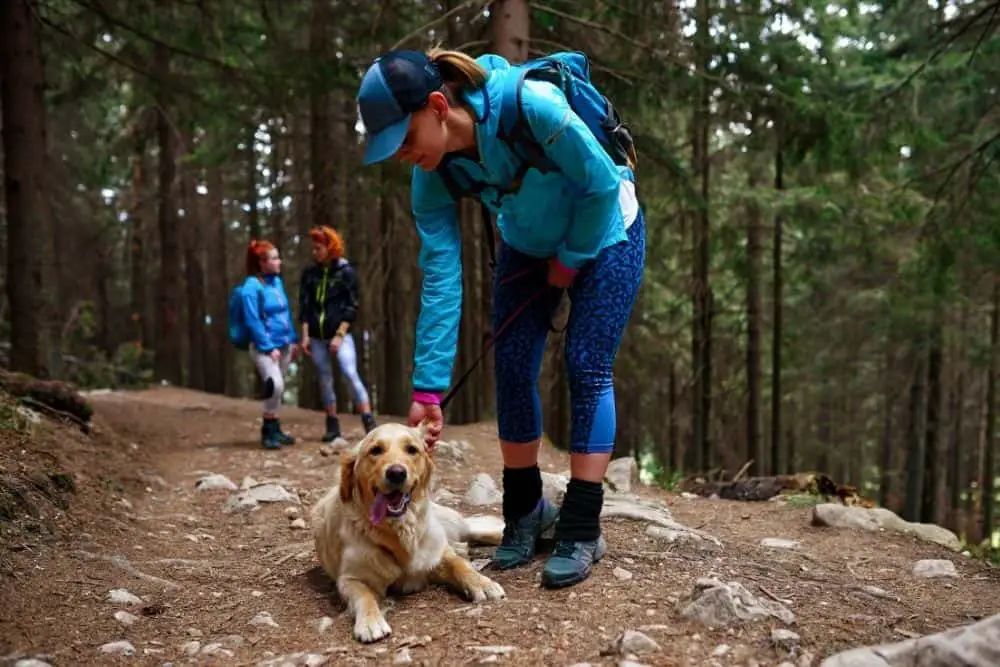 group of girls and dog on hiking trip