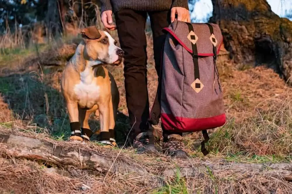 man holding backpack with his dog wearing hiking boots