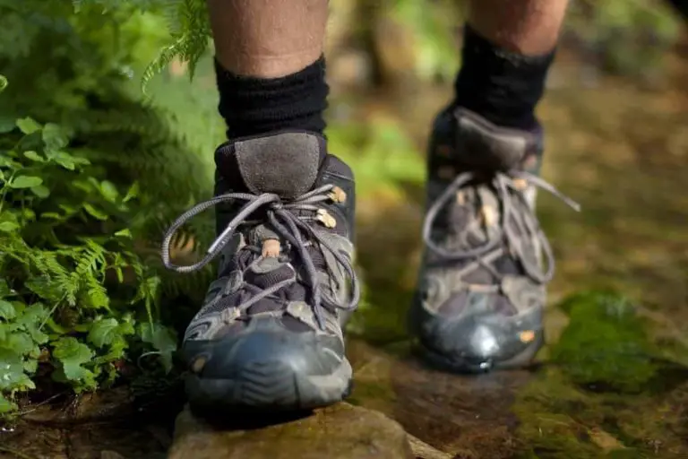 Do Hiking Boots Prevent Snake Bites? - From Your Trails