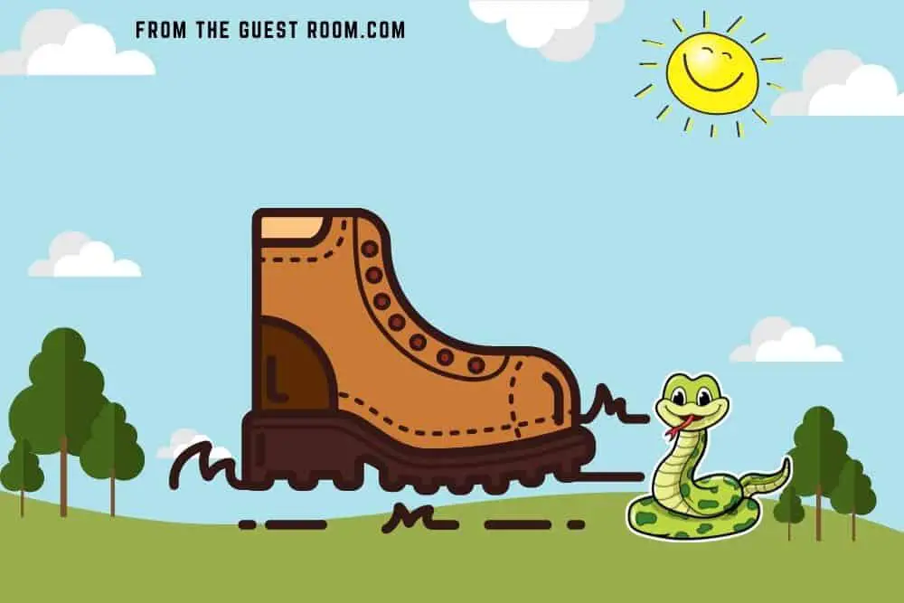 Hiking boot with snake