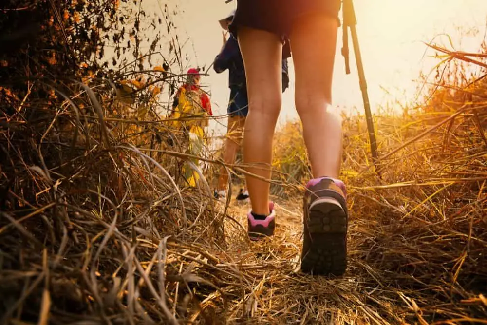 Hikers walking on the trail