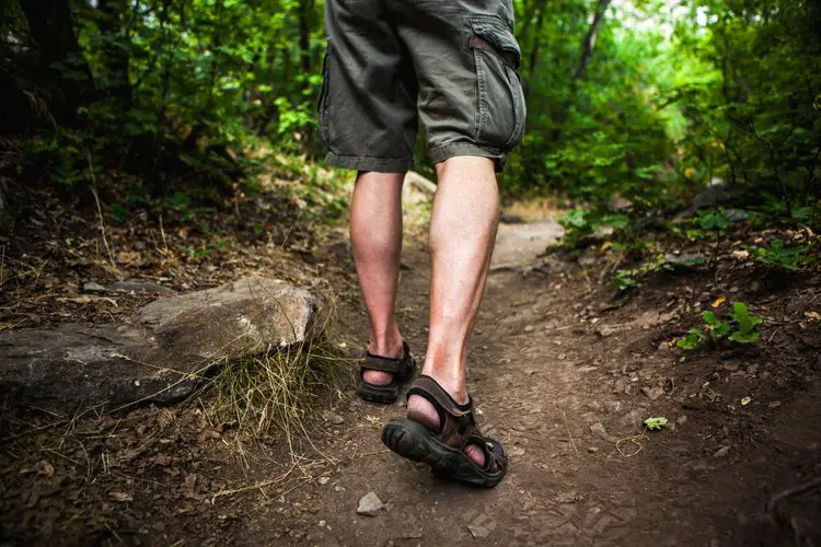 man wears hiking sandals to go hiking in a forest