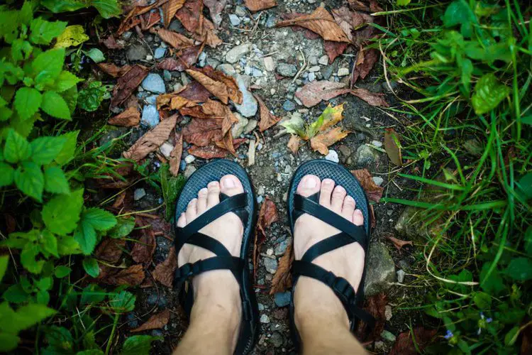 man wears minimalist hiking sandal in forest