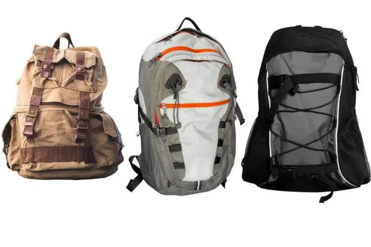 4 Awesome Secrets To Remove Mold from Hiking Backpack From Your Trails