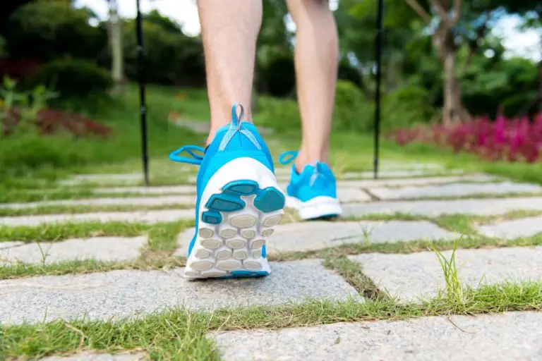 How to Adjust Your Hiking Poles A StepbyStep Guide for All Types of Terrain From Your Trails