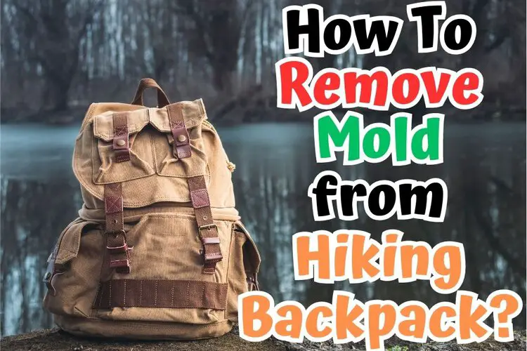 A hiking backpack near the lake and the title