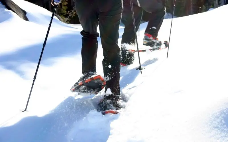 People using the hiking poles to walk on the snow