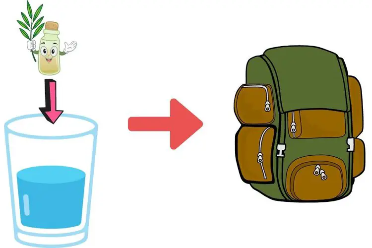 Use Tea Tree Oil and water to remove mold from hiking backpack