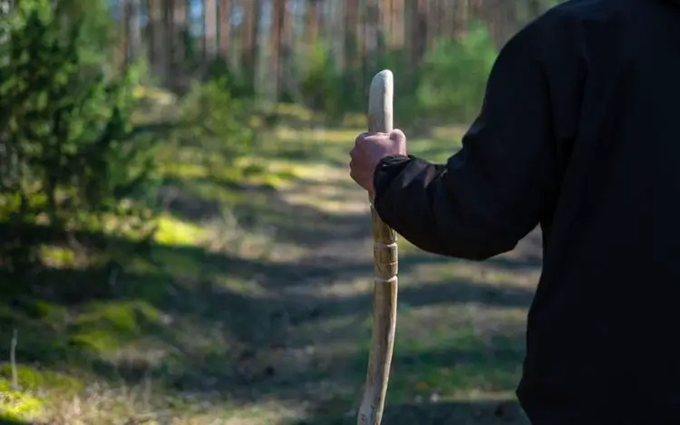 A man are holding a Wooden hiking pole