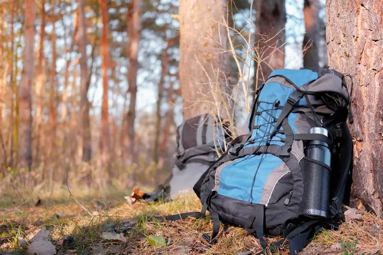 a blue hiking backpack in the forest
