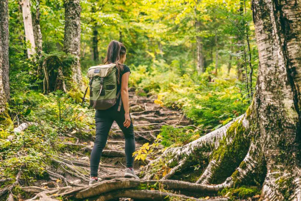 a girl wears hiking backpack in the forest