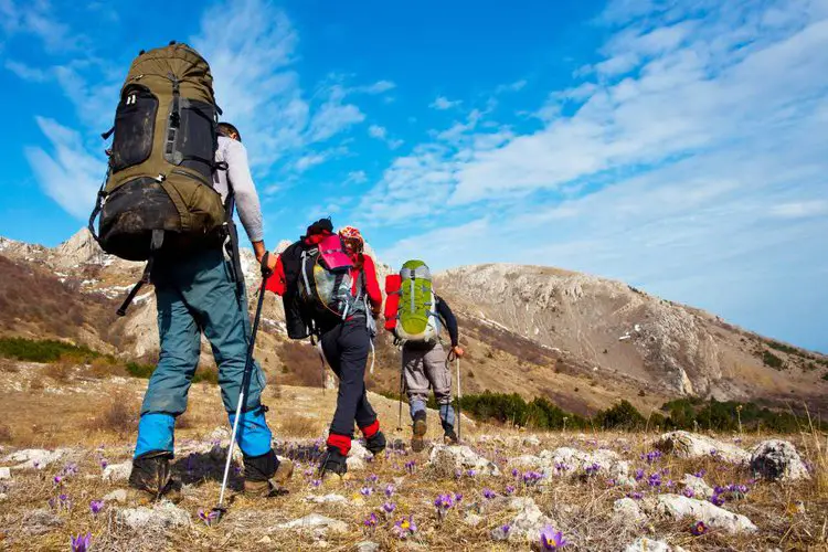 a group of friends wears big backpacks and goes hiking with hiking poles