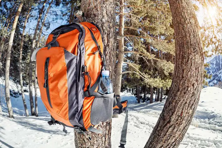 a hiking backpack is hung on a tree branch