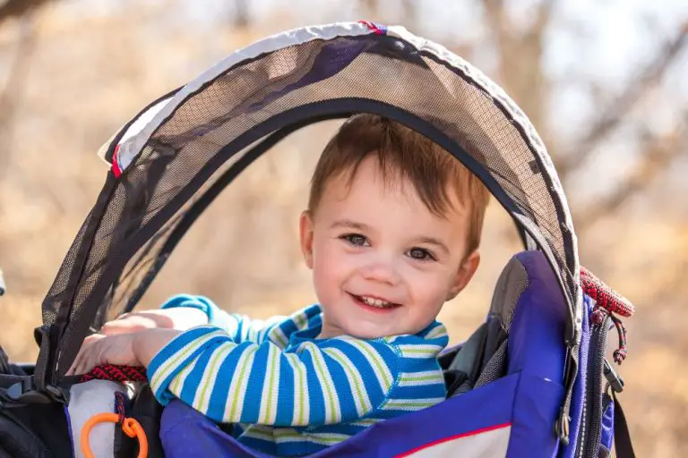 Traveling with a Baby Hiking Backpack Tips and Tricks for Success