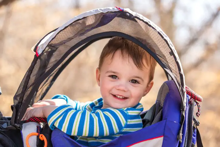 baby in a hiking backpack carrier