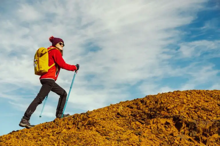 Hiking with One or Two Poles Pros and Cons to Consider From Your Trails