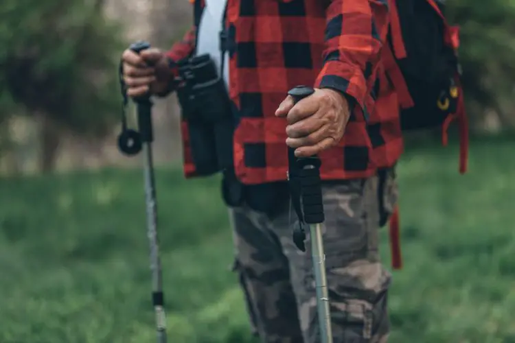 man holds hiking poles in the forest
