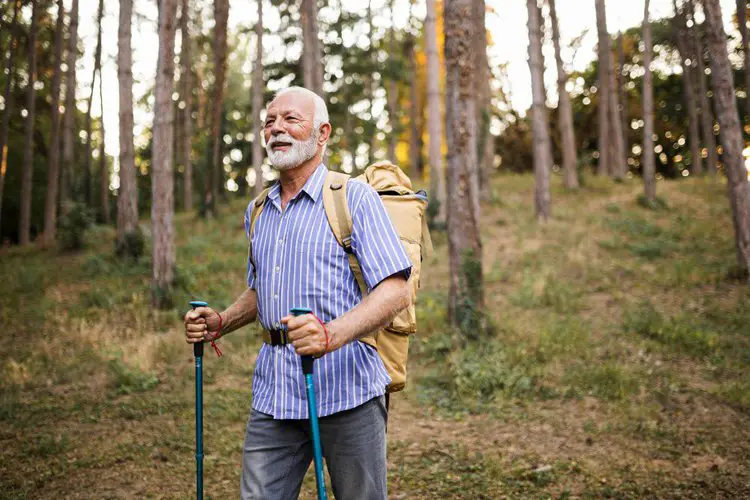 old man uses hiking pole to go hiking in forest
