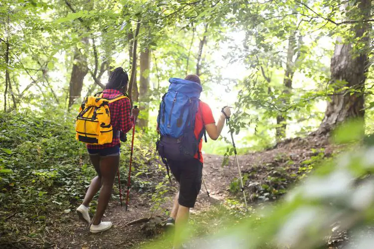 two people wear hiking backpacks for their trip in the forest