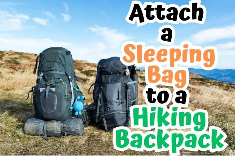 2 hiking backpacks are on the trail en the title