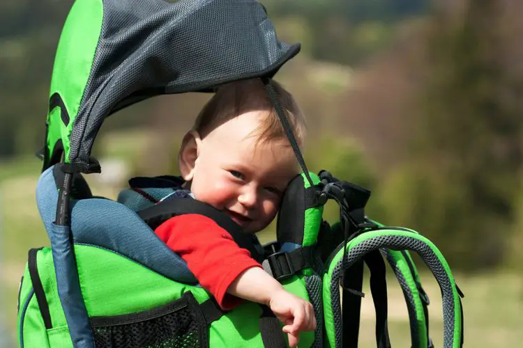A baby in hiking backpack
