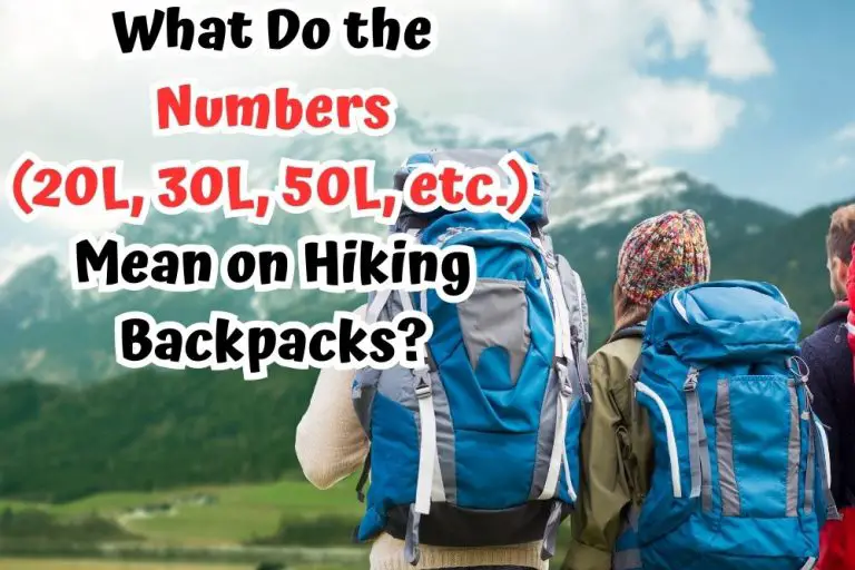 group of friends with different hiking backpacks