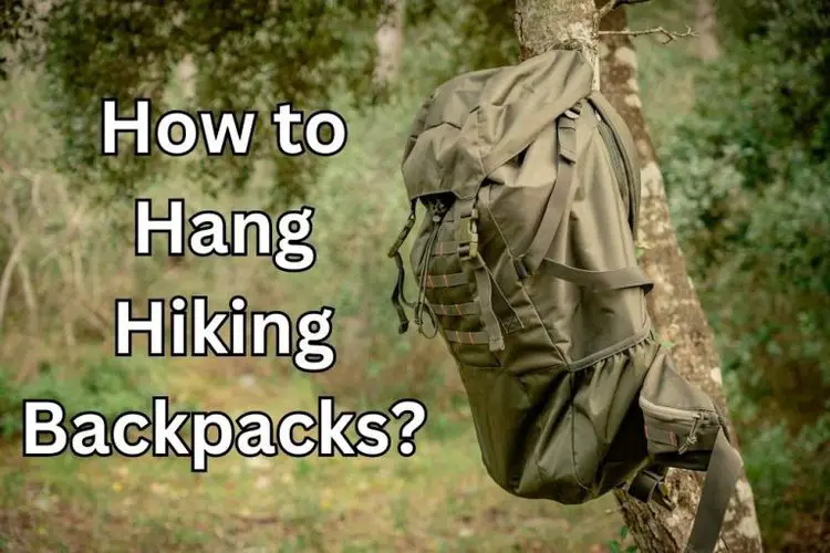 hiking backpack hanging on a tree