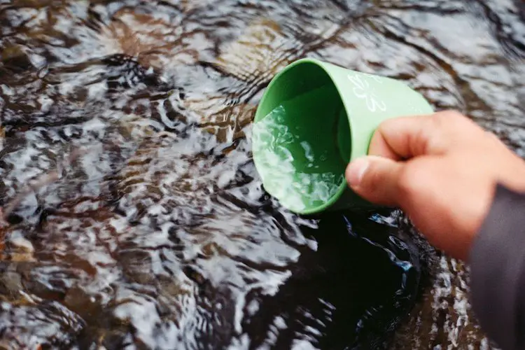 scooping water from a stream with green cup