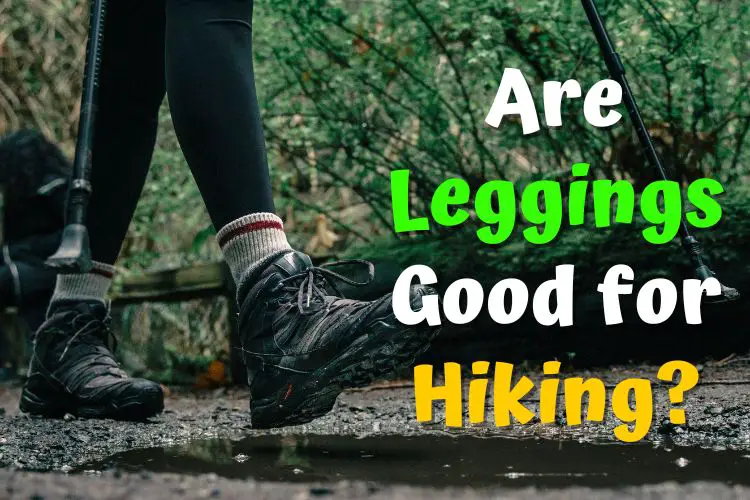 a girl goes hiking with leggings in a forest