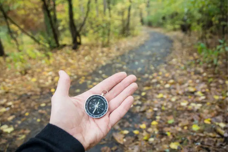 a man is using a compass in the forest