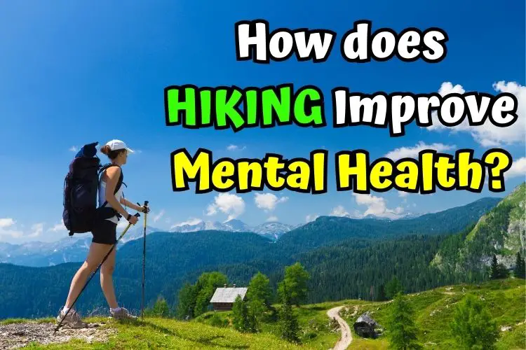 Trails to Tranquility: How Hiking Elevates Your Mental Health - From Your  Trails