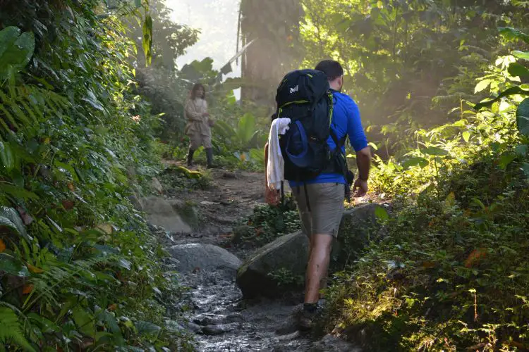 man is hiking in the forest