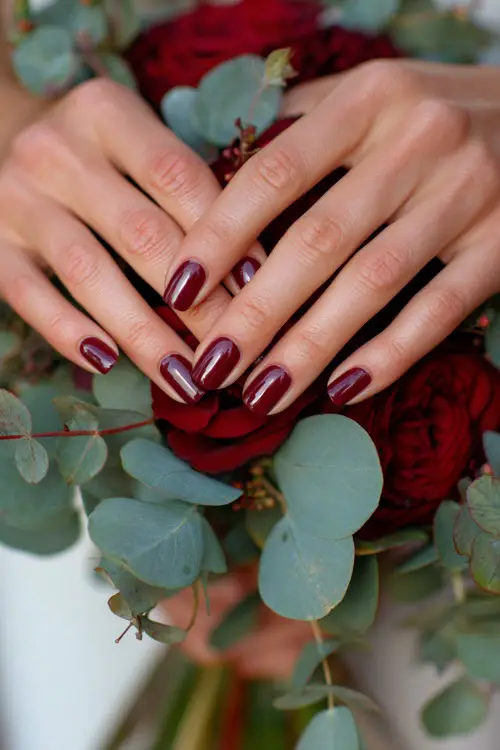 Bride’s hands with almond-shaped glossy burgundy nails, gently holding a bouquet of red roses and eucalyptus 